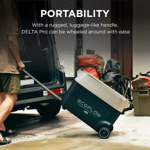 Delta Pro Smart Extra Battery